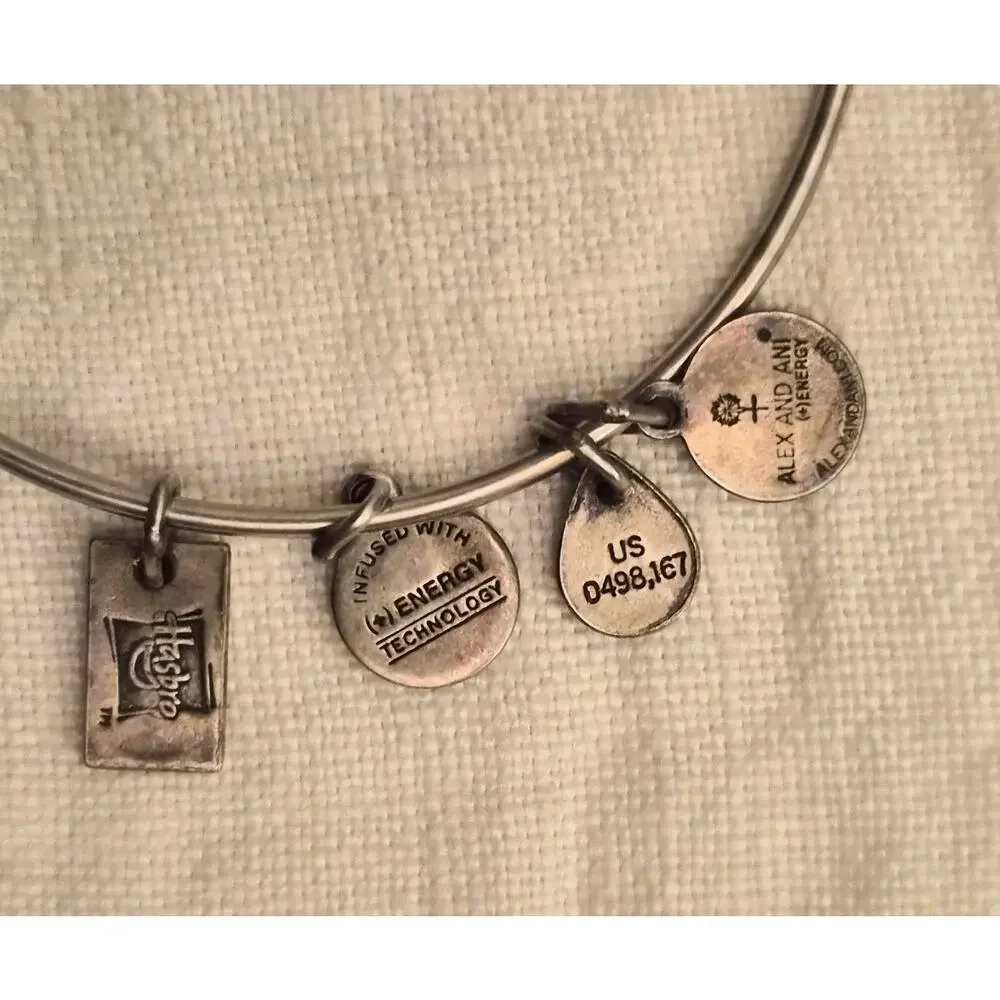 Alex‎ and Ani Monopoly Charm Bangle Rafaelian Silver Expandable Bracelet Stack